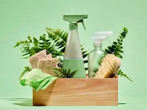 Eco-Friendly Cleaning Solutions for Businesses by Tidy Mates