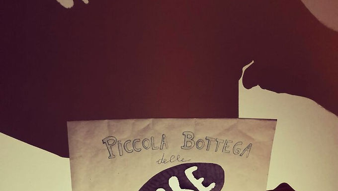 Piccola bottega delle ombre