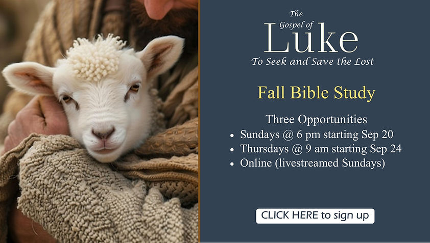 Christian Ed - Adult Bible Study - Luke - website.jpg