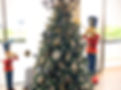 Snow tipped Xmas tree with decorations in gold and blues between tall trumpet blowing nutcrackers