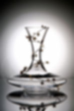 charlie suriano photographer