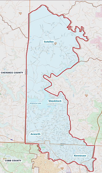 ga_house_district_22_map.png
