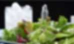Ensalada