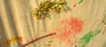 laboratorio natura scuola