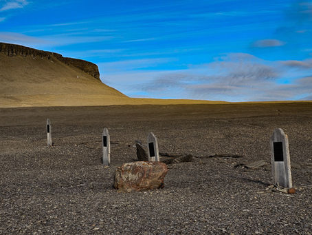 Beechey Island - Franklin Expedition and a Polar Bear