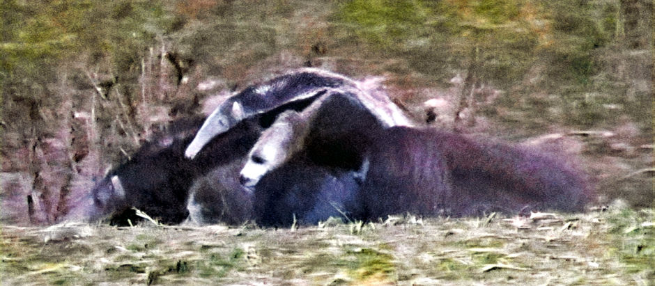 Pousada Piuval Day 2