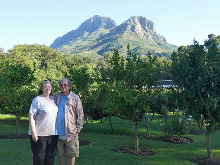 The Winelands of South Africa