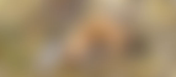 Lady Franklin Point, Nunavut, Canada