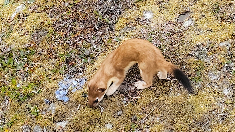 Lady Franklin Point, Nunavut, Canada
