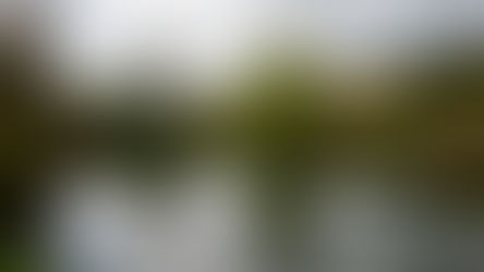 Paris and Giverny, France - Monet Gardens Draft