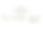 The Holistic_edited.png