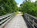 DSC01716.webp
