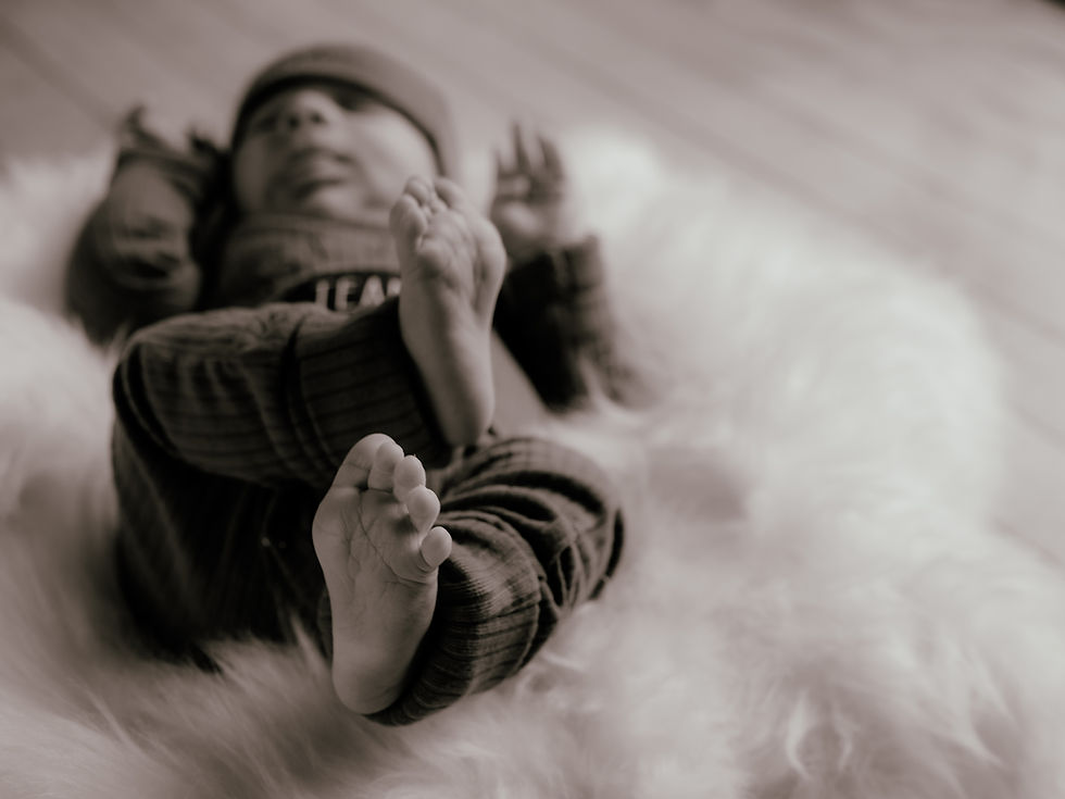 Family Photographer in Baraboo, WI