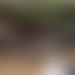 WORKSHOP - NMS Dr. Renner 12.09.18