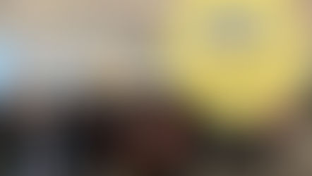 VORTRAG - KPH Steiermark