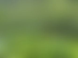 National Iced Tea Month-June