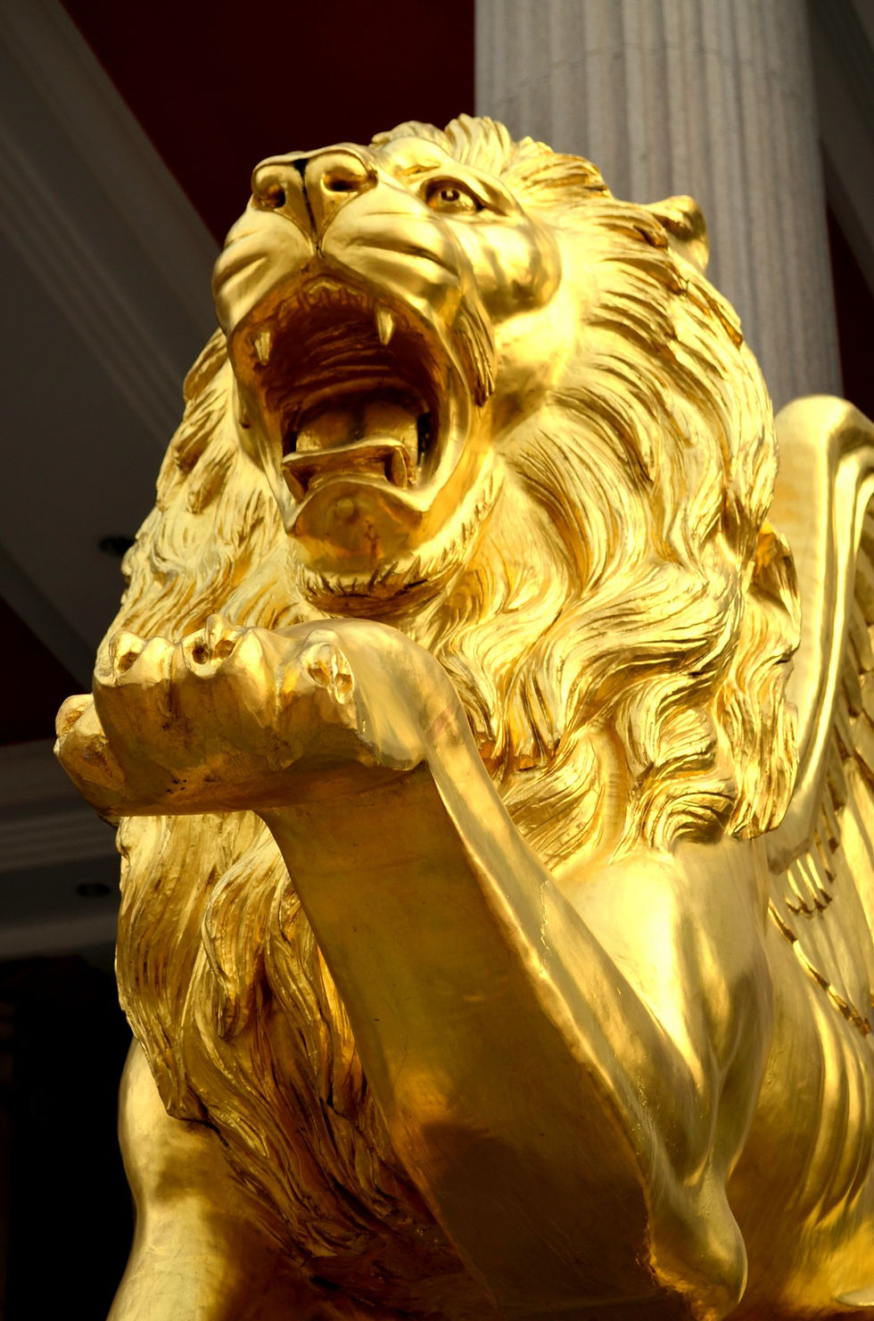 Lion Roaring: Public Domain Pictures