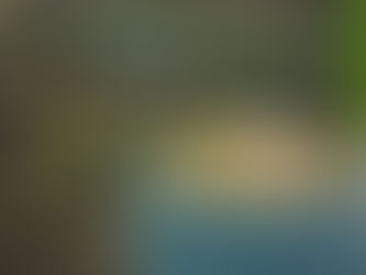 Ways Restaurants Reduce Food Waste