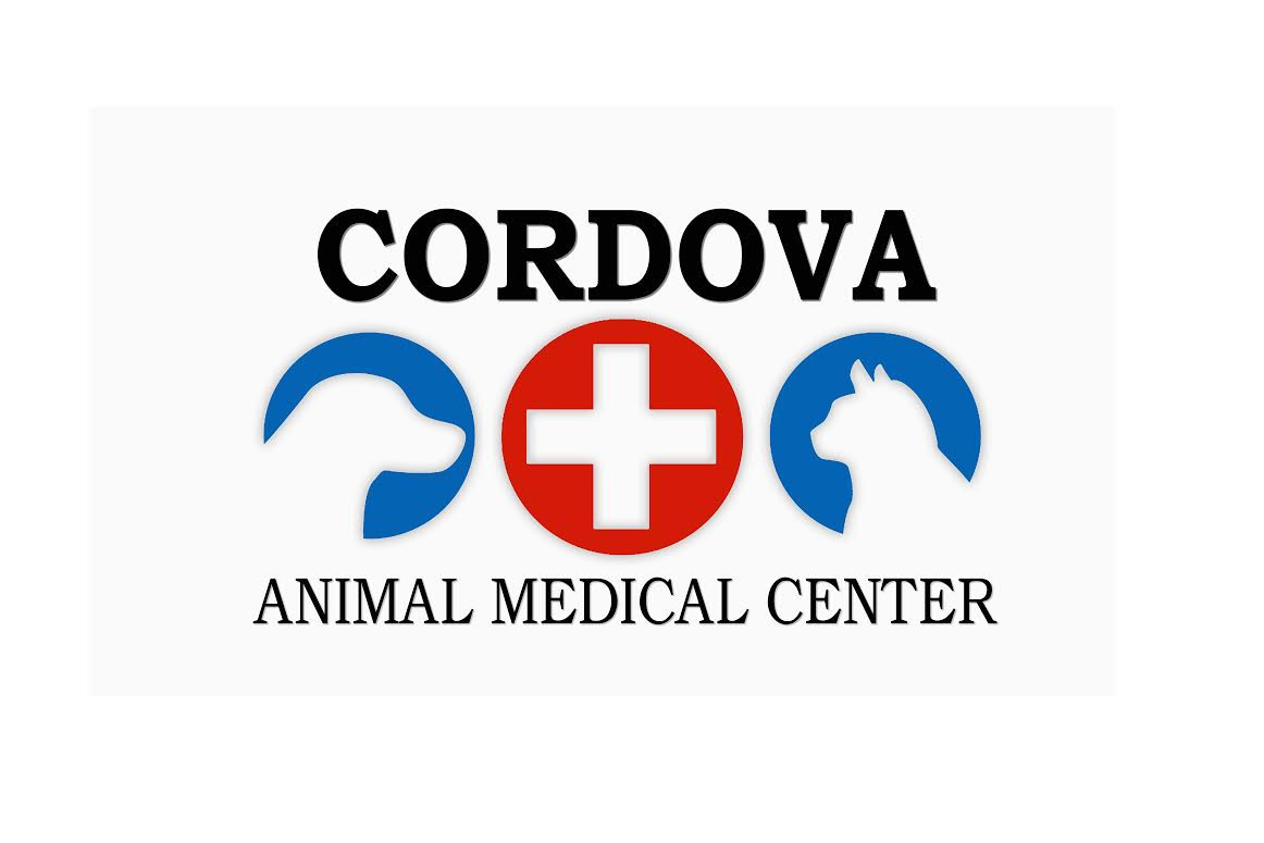 Pensacola Veterinary Hospital Cordova Animal Medical Center