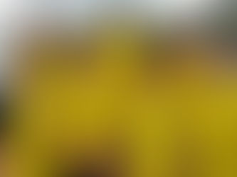 Medal Success at the British Masters National Champs