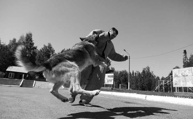 wolfblood001-36.jpg