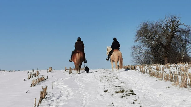 WhatsApp Image 2021-08-24 at 12.48.32.jpeg