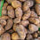Thumbnail: Potato - Agria 10kg