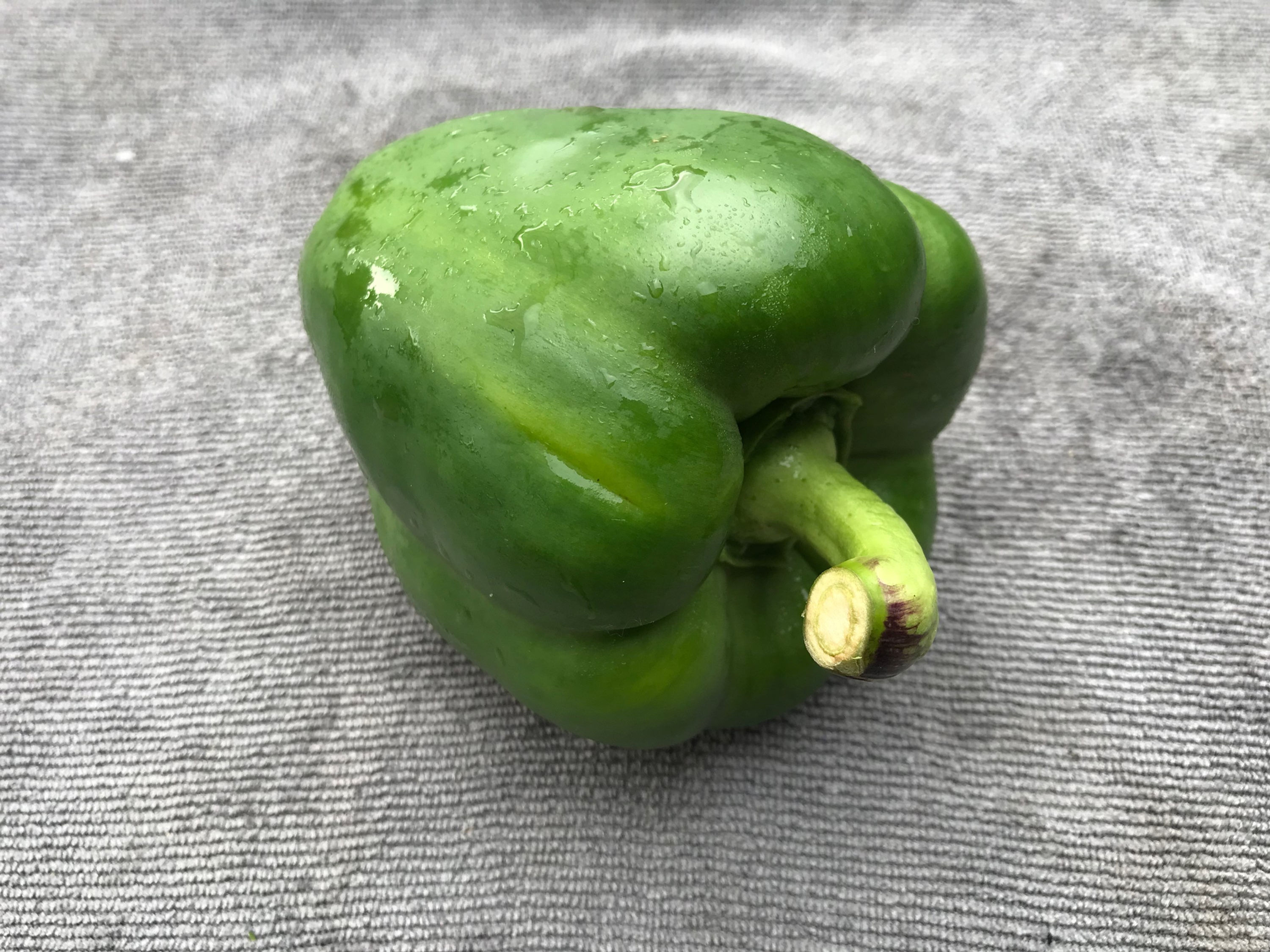 Capsicum Green