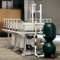Incubator.jpg