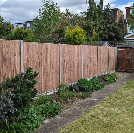 Fencing W5 1ND (3).jpeg