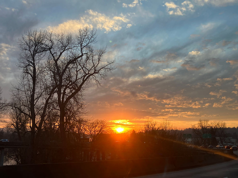 Welcome to Treasures by T!