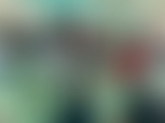 Reunião do dia 05/03