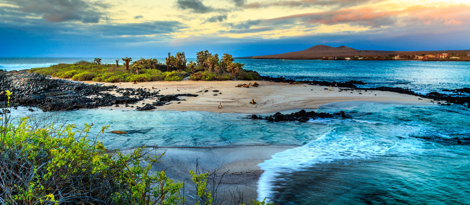 The Galapagos