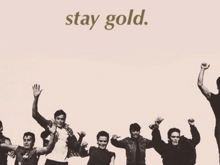 The Outsiders by S.E Hinton