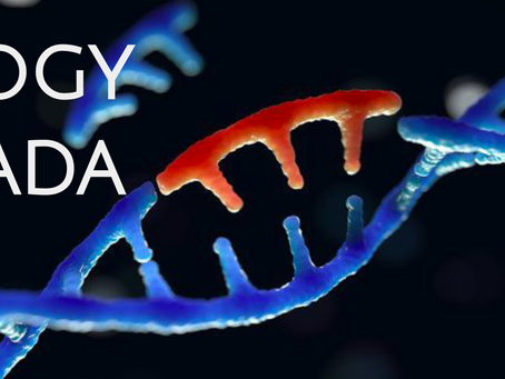 Biology Canada: Volume 1