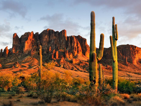 TESUP over de hele wereld! Onze windturbine reist naar Concho, Arizona!