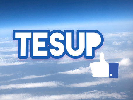 TESUP - team of the future !