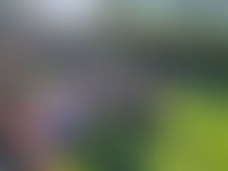 Sieg im Spitzenspiel