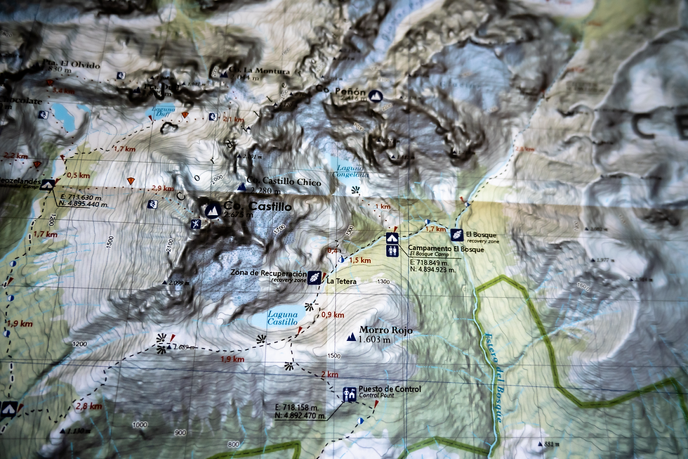 Thumbnail: Parque Cerro Castillo y Avellanos