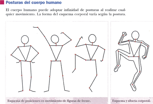 Resultado de imagen de dibujo artistico cuerpo humano proporciones