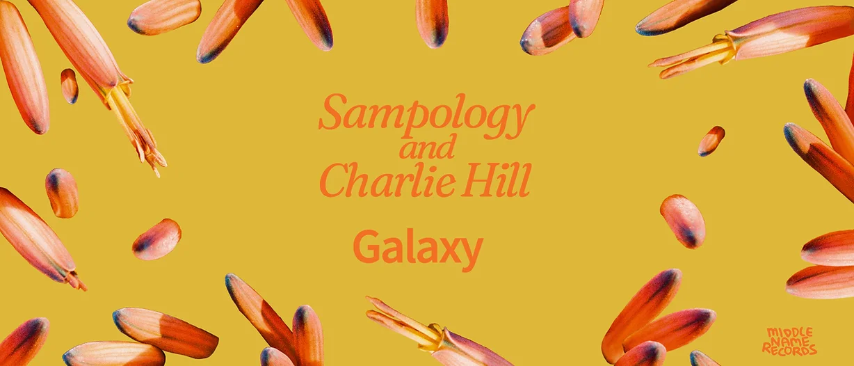 Sampology plays 20 Questions
