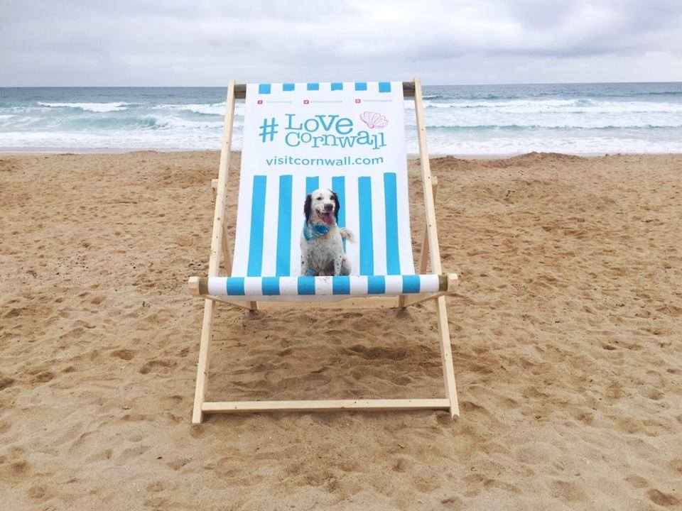 Giant Decks Chairs Custom Deck Chair Hire or Buy