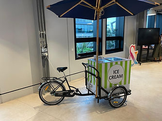 ice cream tricycle hire