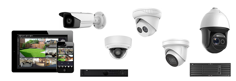 Live view Banner1.png