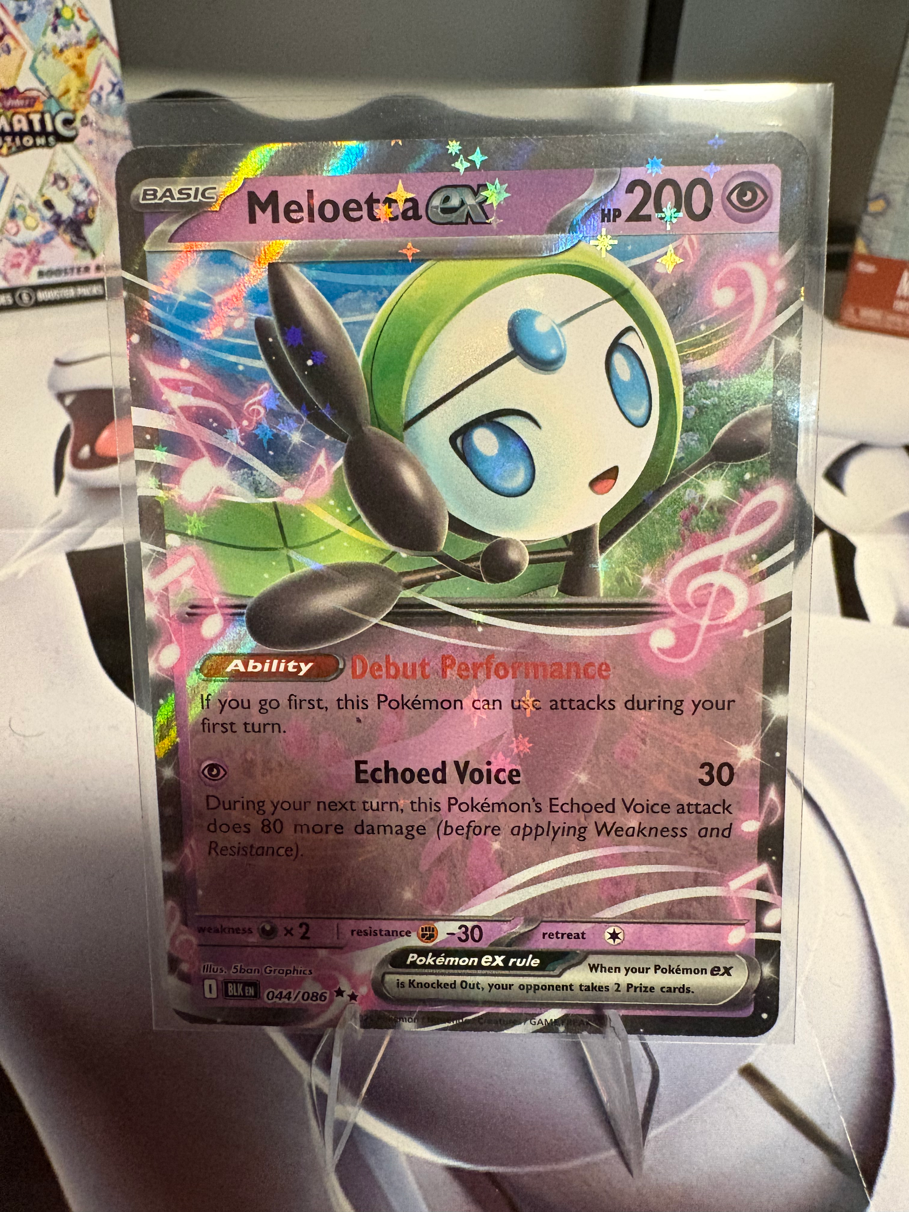 Melotta Ex Mint 🔥