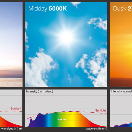 La nuova frontiera della luce artificiale incentrata sull'uomo