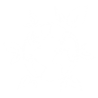 Green materials_bianco-01.png