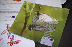 Inserto Konica Minolta