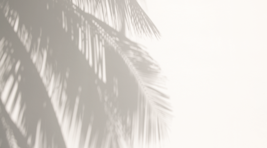 Palm tree shadows casting soft patterns on a neutral background behind FIT30A class schedule