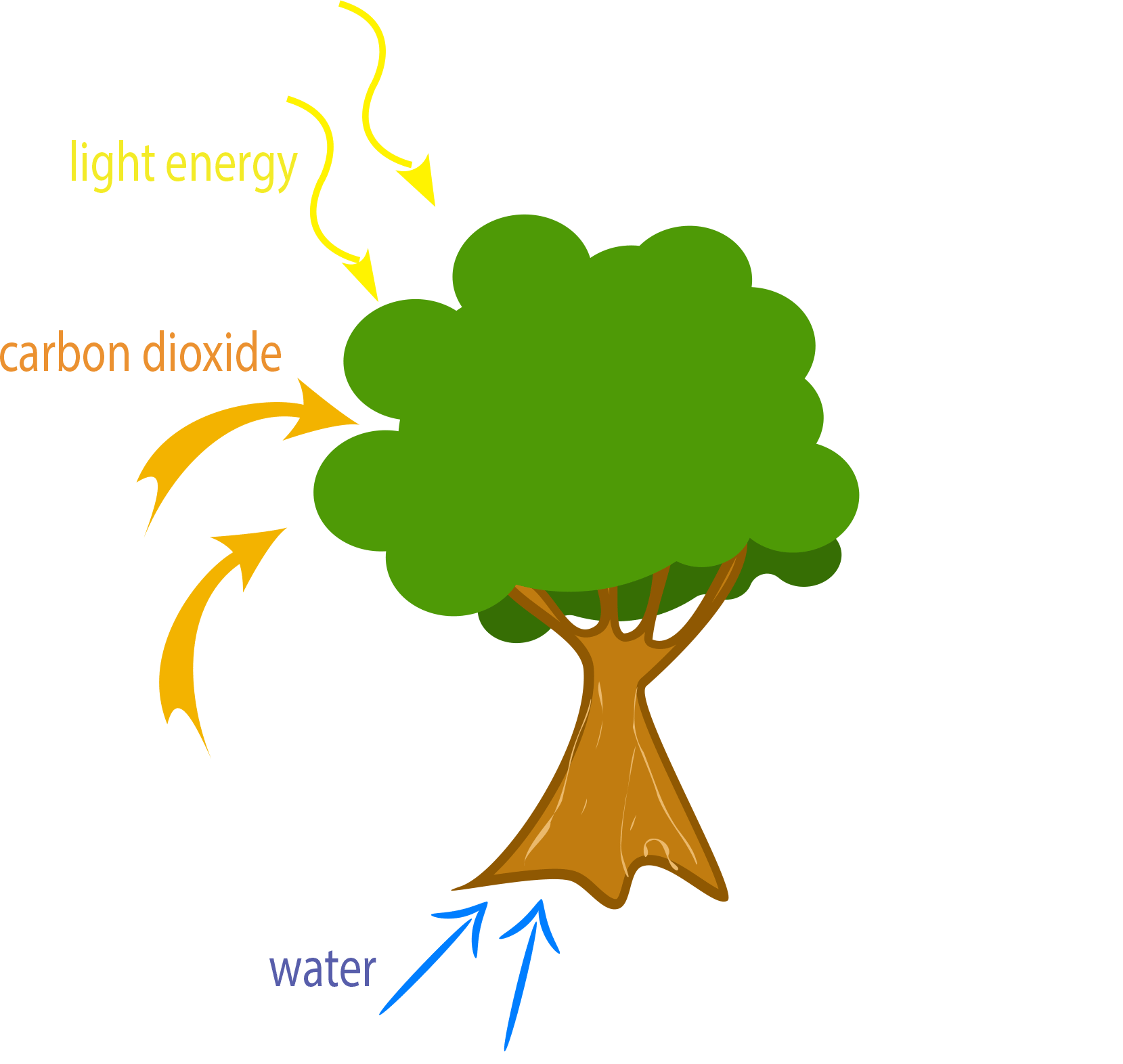 Tree GIF